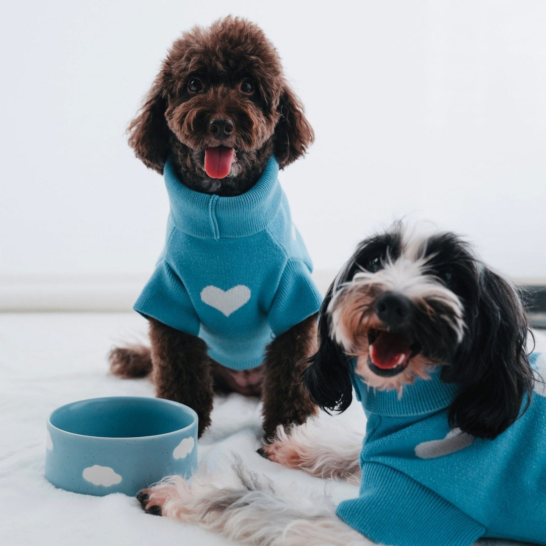 Set of 2 Pet Bowls - Cloud (16.5cm)