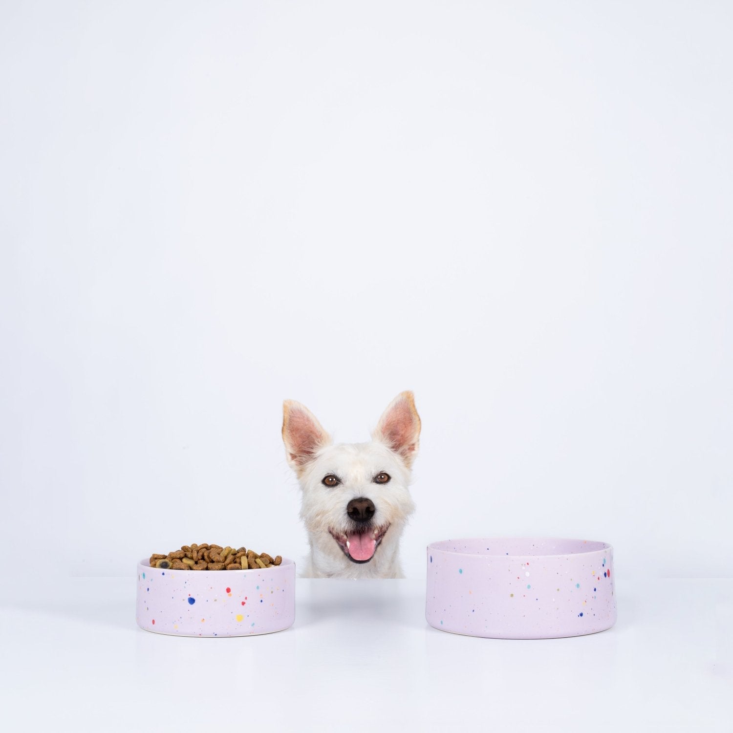 Conjunto de 2 Tigelas para Animais - Lilás (16,5cm) - Tata's Concept ®️