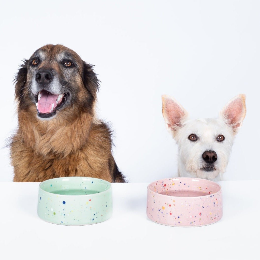 2-Piece Pet Bowl Set - Pink (16.5cm)