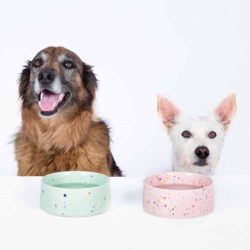 Conjunto de 2 Tigelas para Animais - Verde (16,5cm) - Tata's Concept ®️