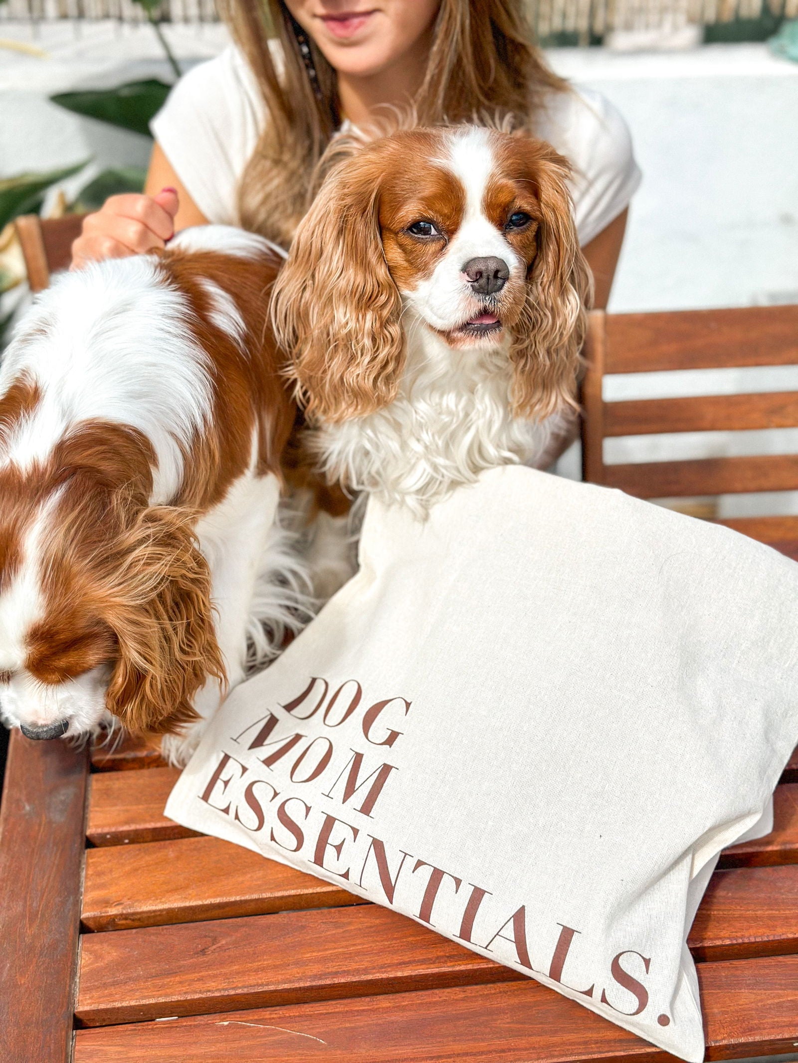 Dog Mom Bag tote para cão em uso — Tata's Concept