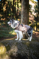 Gabardine Bege com capuz L para cão — Tata's Concept