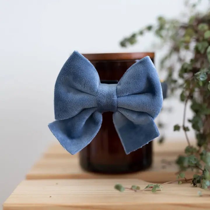 Lazo de Terciopelo (Azul)