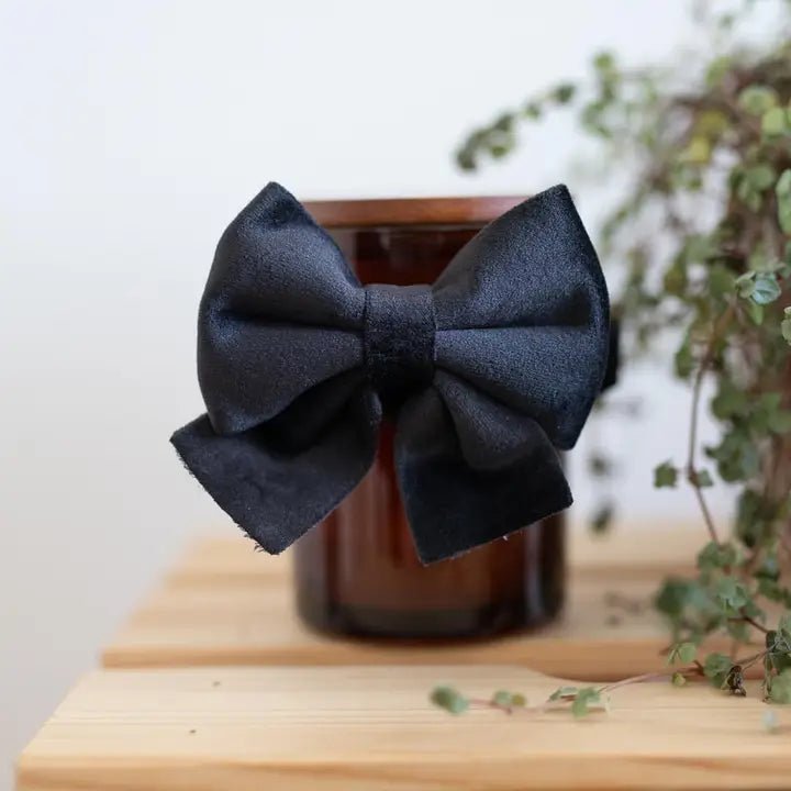 Lazo de Terciopelo (Negro)