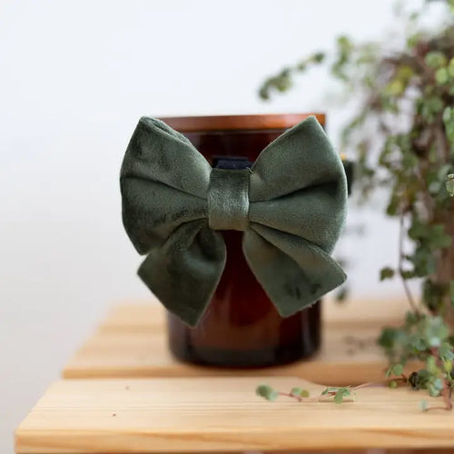 Velvet Ribbon (Green)