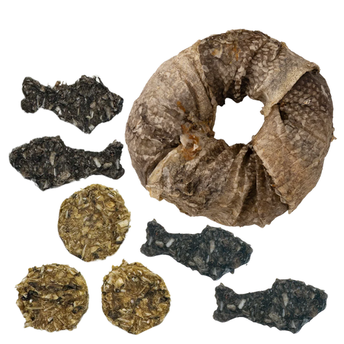 Life-Savers para cão interior — Cooka's Cookies