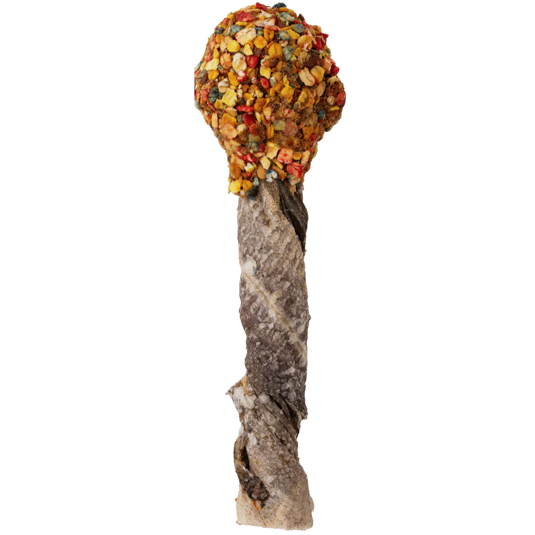 Lollipops Clássicos para cão interior — Cooka's Cookies