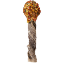 Lollipops Clássicos para cão interior — Cooka's Cookies