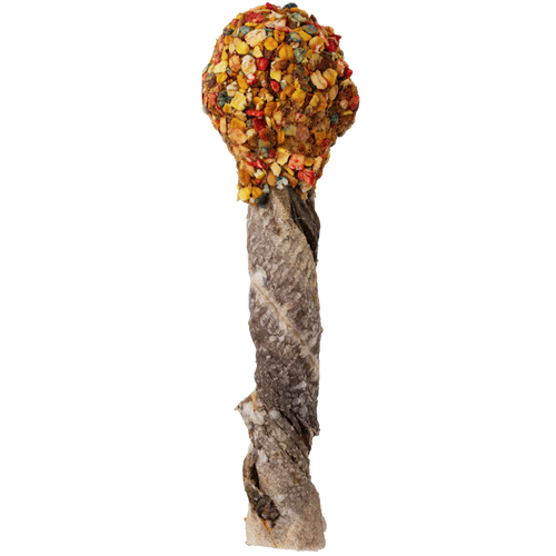 Lollipops Clássicos para cão interior — Cooka's Cookies