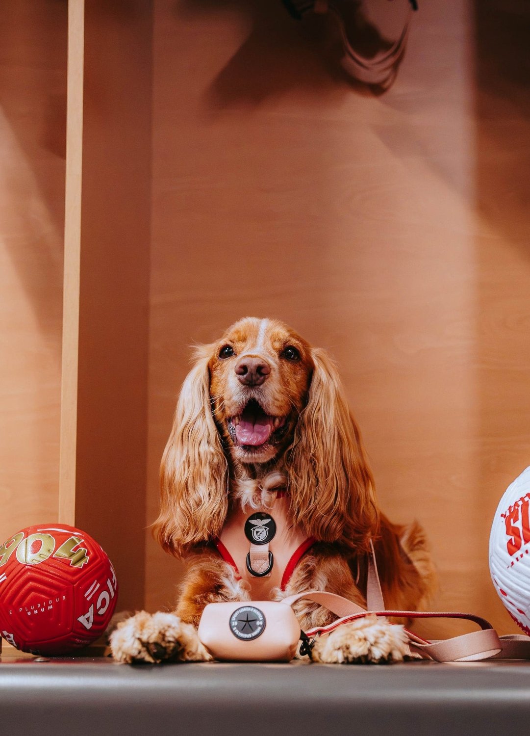 Pack Peitoral Ajustável SLB Bege