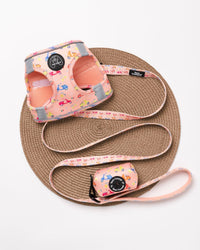 Pack Corporal Ciao Bella