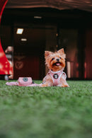 Pack Peitoral Body Coleção SLB Riscas para Cão | Produto Oficial Benfica | Tata's Concept
