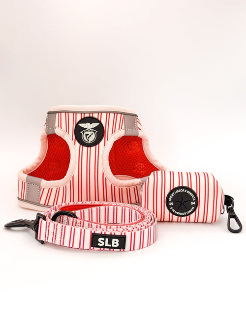Pack Peitoral Body Coleção SLB Riscas para Cão | Produto Oficial Benfica | Tata's Concept