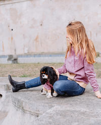 Adult + Pet Hoodie Pack