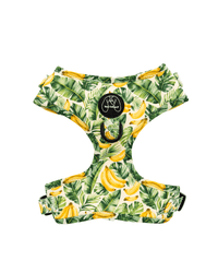 Peitoral Ajustável Tropical Lover