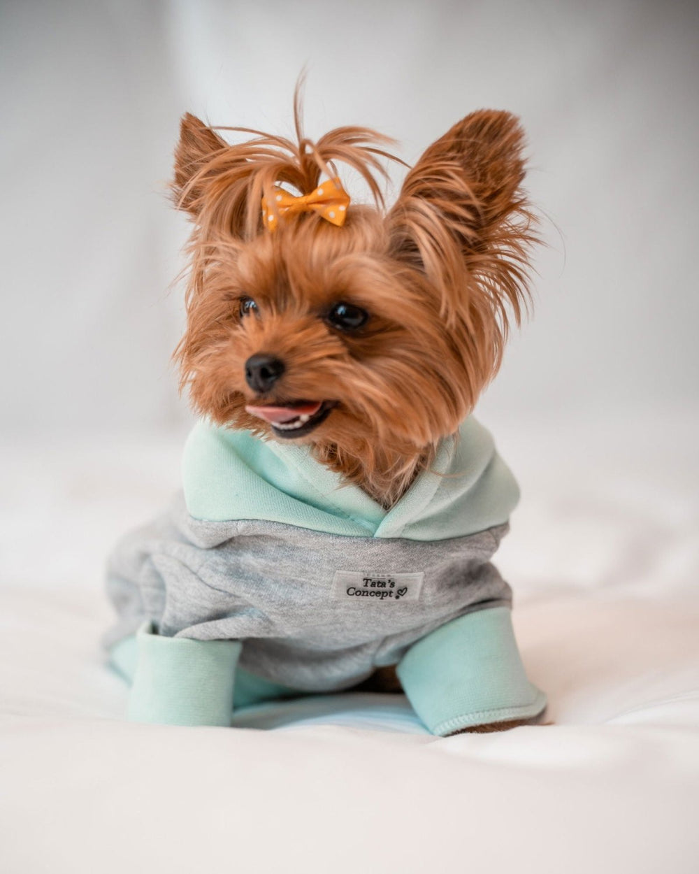 Pet Hoodie Clásica para Perros