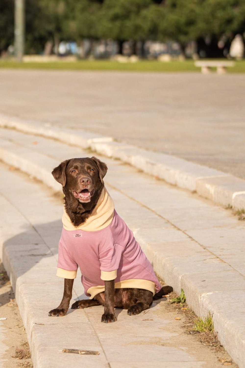 Pet Hoodie I WOOF YOU - Tata's Concept ®️