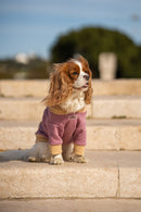 Pet Hoodie I WOOF YOU Lavanda S para cão — Tata's Concept