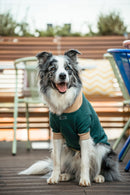 Pet Hoodie L Azeitona para cão — Tata's Concept