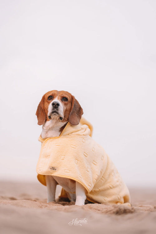 Poncho Amarelo Pastel para cão — Tata's Concept