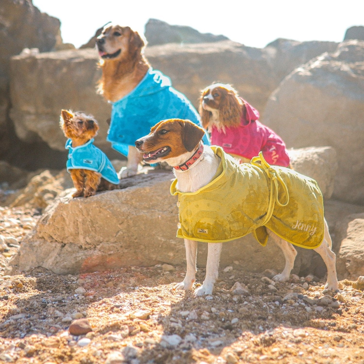 Ponchos para Perros