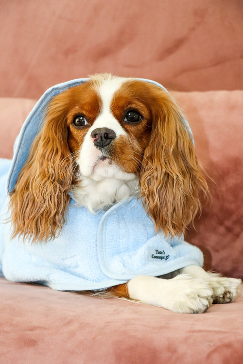 Ponchos para cão cores disponíveis — Tata's Concept