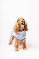 Pullover Turquesa L para cão — Tata's Concept