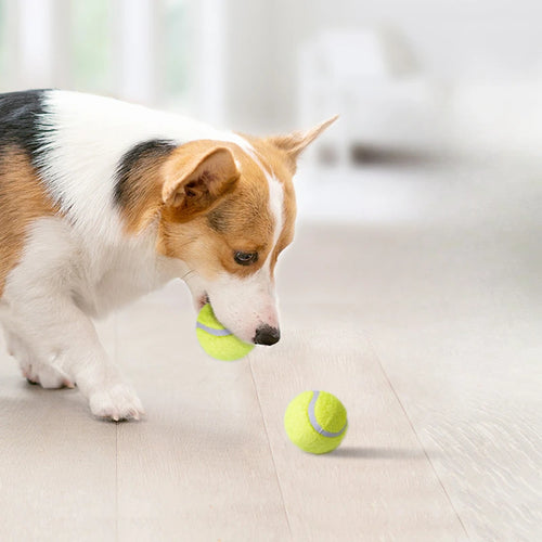 Pelota de tenis deportiva
